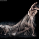 Illustration for article titled Chronophotography: The Photos That Revealed The Secrets Of Motion